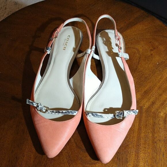 COACH WOOSTER POINTED TOE LEATHER FLAT WOMEN"S SANDAL - Picture 3 of 12